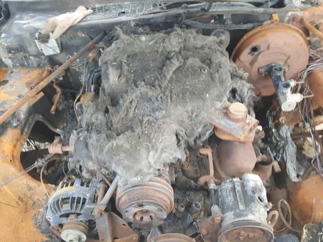 1C3BF66P4EX529338 - 1984 CHRYSLER FIFTH AVEN BURN photo 7