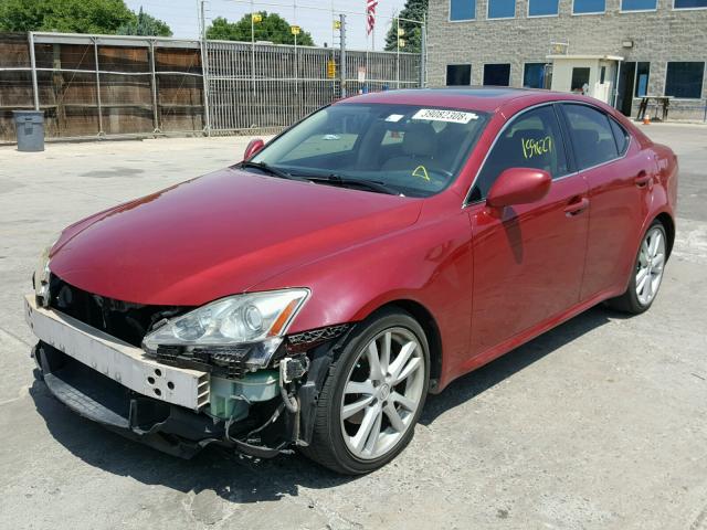 JTHBK262965000483 - 2006 LEXUS IS 250 RED photo 2