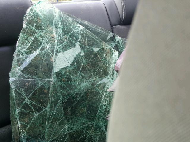 2G2WP582281179204 - 2008 PONTIAC GRAND PRIX RED photo 6