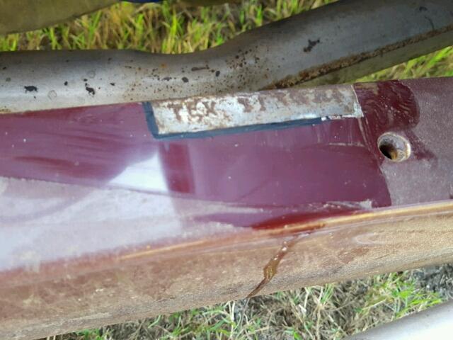 TEX113461 - 2009 ASVE ASSEMBLED მუქწითელი ფოტო 10