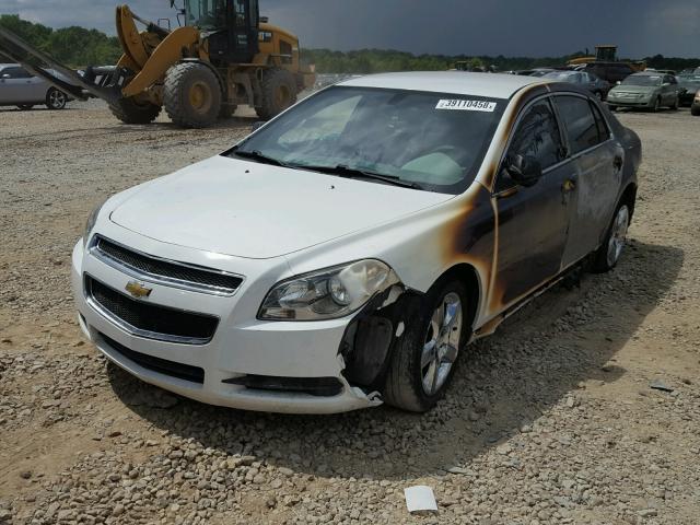 1G1ZB5E00CF206419 - 2012 CHEVROLET MALIBU LS თეთრი ფოტო 2