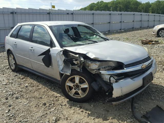 1G1ZT62855F116487 - 2005 CHEVROLET MALIBU MAX SILVER photo 1