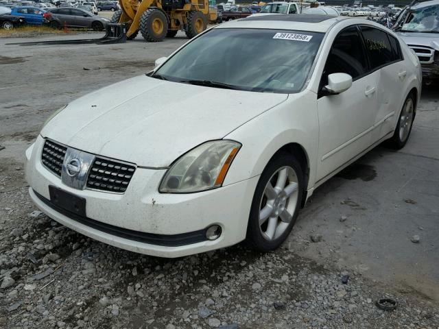 1N4BA41E64C911547 - 2004 NISSAN MAXIMA SE WHITE photo 2