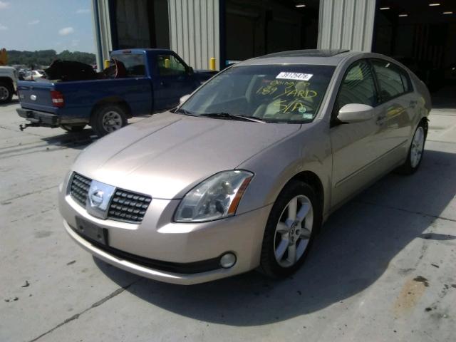 1N4BA41EX5C868770 - 2005 NISSAN MAXIMA SE GOLD photo 2