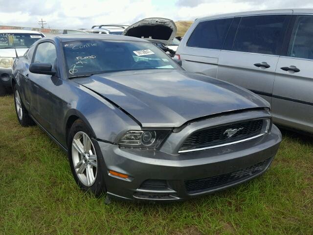 1ZVBP8AM5E5321821 - 2014 FORD MUSTANG GRAY photo 1