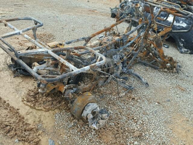 1HFTE3877D4101008 - 2013 HONDA TRX500 FE BURN photo 10