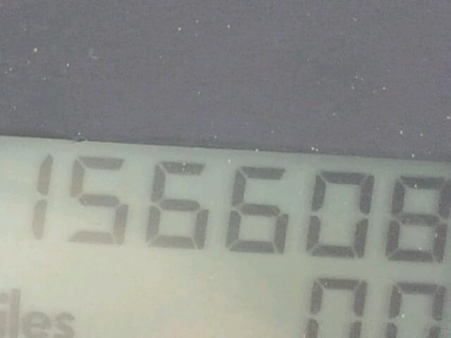 3VWBB61C8WM048024 - 1998 VOLKSWAGEN NEW BEETLE 白色 照片 8