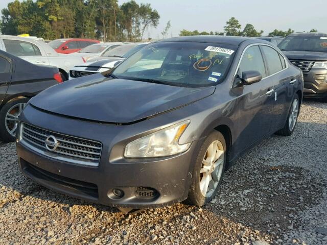 1N4AA5AP0AC813161 - 2010 NISSAN MAXIMA CHARCOAL photo 2