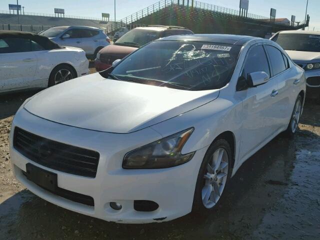 1N4AA5AP2BC808738 - 2011 NISSAN MAXIMA WHITE photo 2