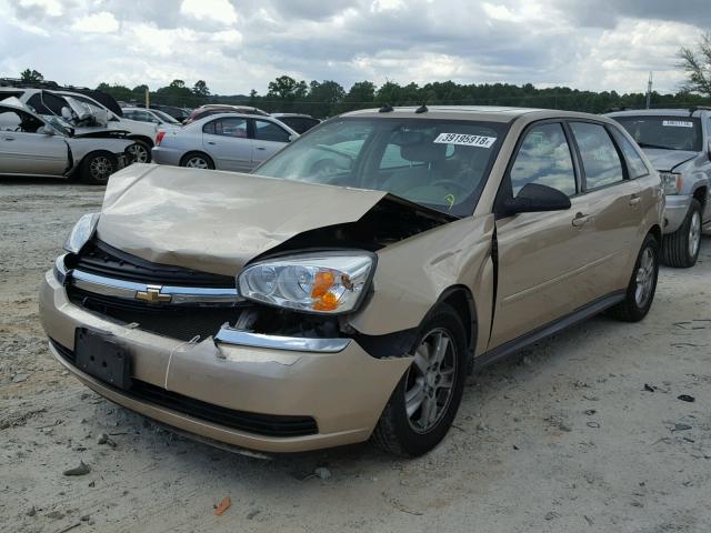 1G1ZT64804F235477 - 2004 CHEVROLET MALIBU MAX GOLD photo 2