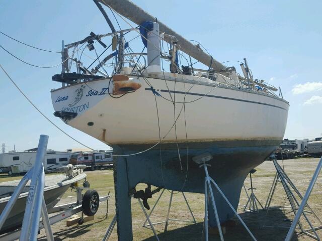 CLYC60280576 - 1976 CHALET SAILBOAT WHITE photo 4