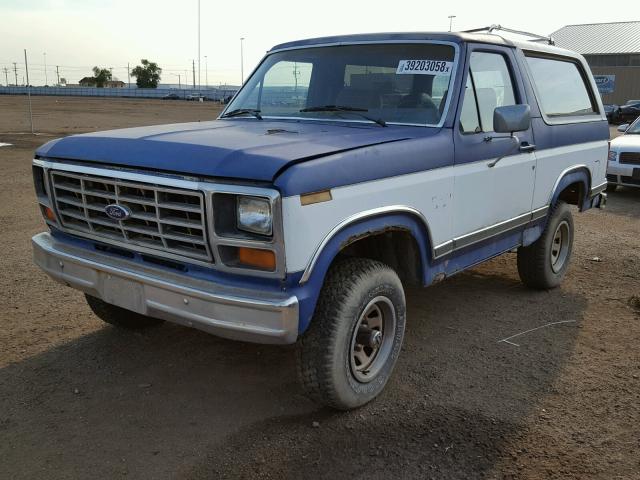 1FMEU15Y9DLA45842 - 1983 FORD BRONCO U10 BLUE photo 2