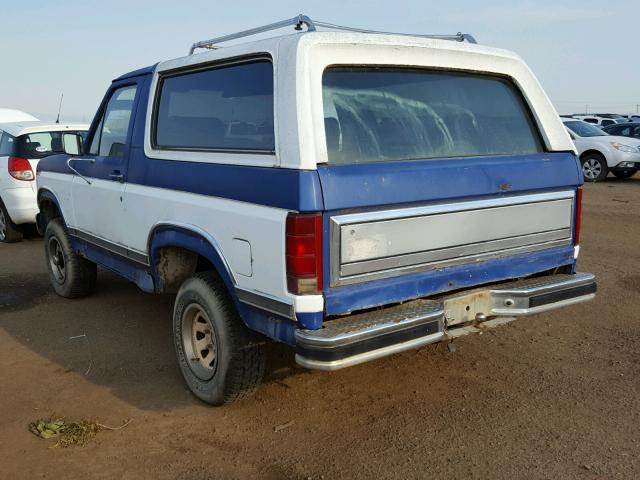 1FMEU15Y9DLA45842 - 1983 FORD BRONCO U10 BLUE photo 3