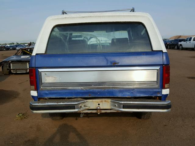 1FMEU15Y9DLA45842 - 1983 FORD BRONCO U10 BLUE photo 6