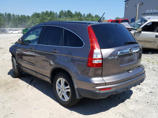 5J6RE4H71AL094076 - 2010 HONDA CR-V EXL GRAY photo 3