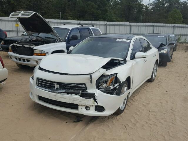 1N4AA5AP9BC842160 - 2011 NISSAN MAXIMA WHITE photo 2