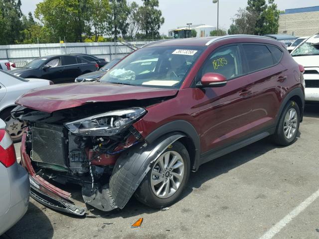 KM8J33A23GU214539 - 2016 HYUNDAI TUCSON LIM BURGUNDY photo 2