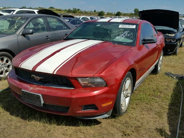 1ZVBP8AN4A5157657 - 2010 FORD MUSTANG RED photo 2