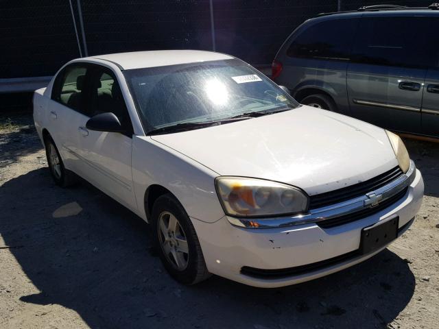 1G1ZT528X5F339019 - 2005 CHEVROLET MALIBU LS Ağ foto 1