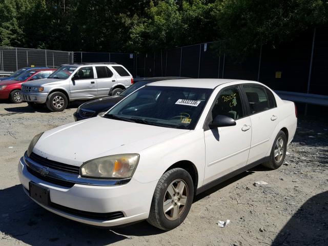 1G1ZT528X5F339019 - 2005 CHEVROLET MALIBU LS Ağ foto 2