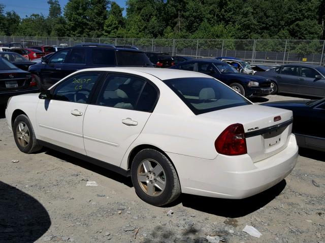 1G1ZT528X5F339019 - 2005 CHEVROLET MALIBU LS Ağ foto 3