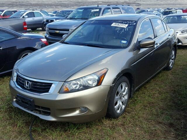 1HGCP36848A042993 - 2008 HONDA ACCORD EXL GOLD photo 2