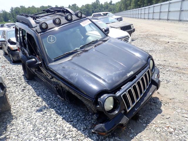 1J4GK38K93W545013 - 2003 JEEP LIBERTY RE BLACK photo 1