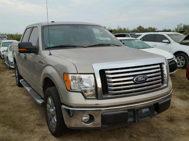 1FTEW1C81AFD77785 - 2010 FORD F150 SUPER TAN photo 1