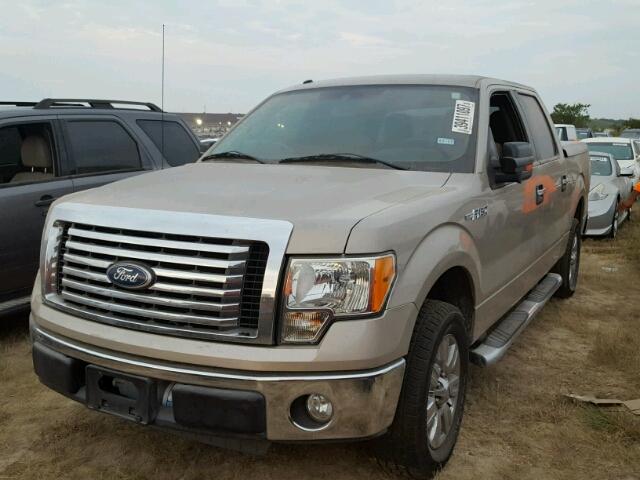1FTEW1C81AFD77785 - 2010 FORD F150 SUPER TAN photo 2