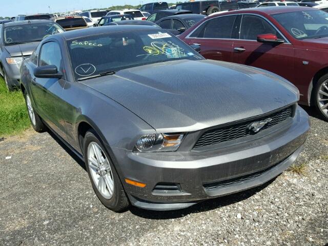 1ZVBP8AM6B5141646 - 2011 FORD MUSTANG GRAY photo 1