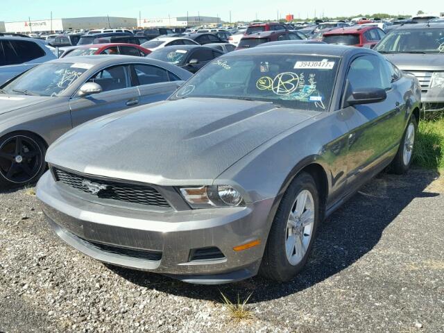 1ZVBP8AM6B5141646 - 2011 FORD MUSTANG GRAY photo 2