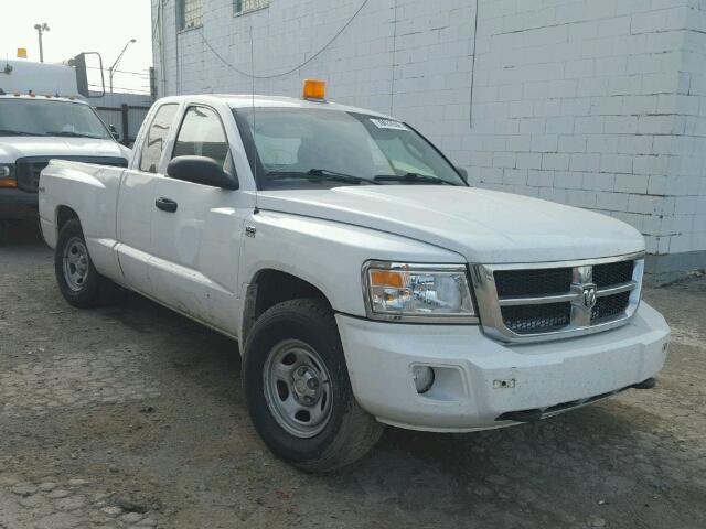 1D7RW2BP0BS673766 - 2011 DODGE DAKOTA WHITE photo 1