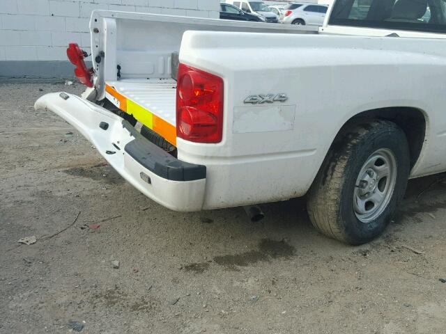 1D7RW2BP0BS673766 - 2011 DODGE DAKOTA WHITE photo 10