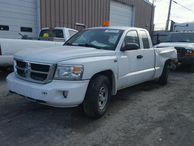 1D7RW2BP0BS673766 - 2011 DODGE DAKOTA WHITE photo 2