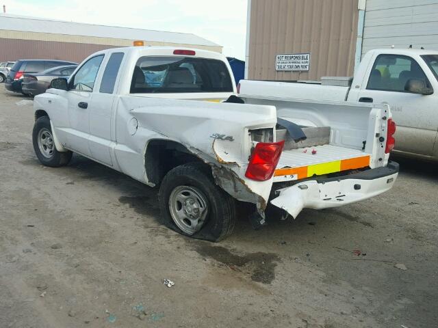 1D7RW2BP0BS673766 - 2011 DODGE DAKOTA WHITE photo 3