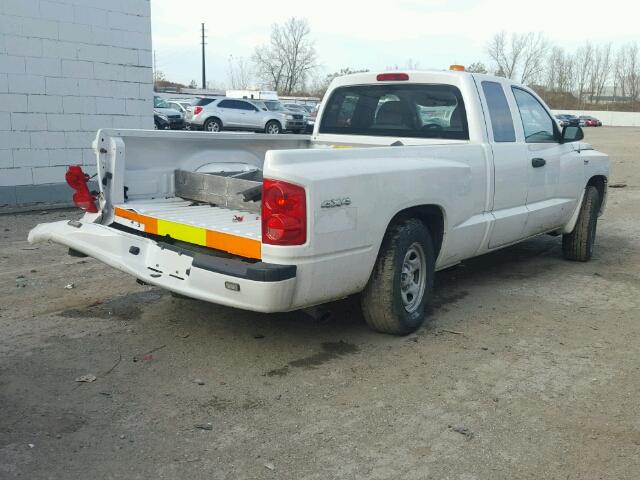 1D7RW2BP0BS673766 - 2011 DODGE DAKOTA WHITE photo 4