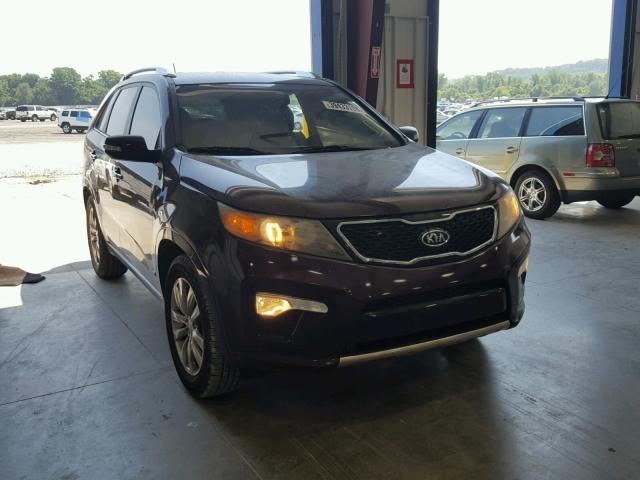 5XYKWDA29BG100352 - 2011 KIA SORENTO SX PURPLE photo 1