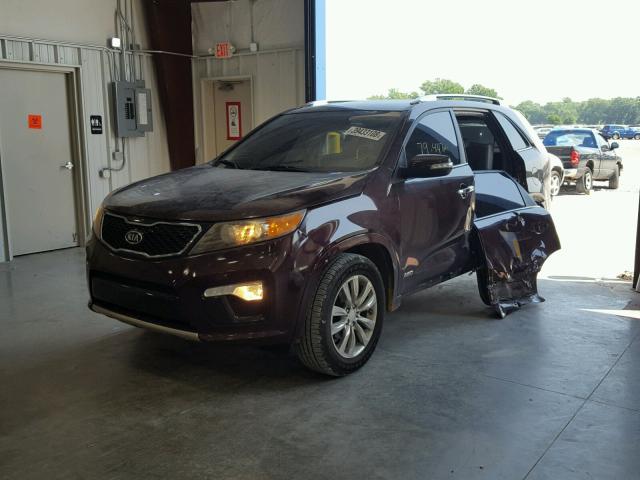 5XYKWDA29BG100352 - 2011 KIA SORENTO SX PURPLE photo 2