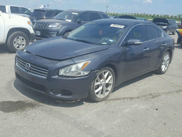 1N4AA51E09C833887 - 2009 NISSAN MAXIMA GRAY photo 2