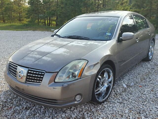 1N4BA41EX6C818386 - 2006 NISSAN MAXIMA SE GOLD photo 2