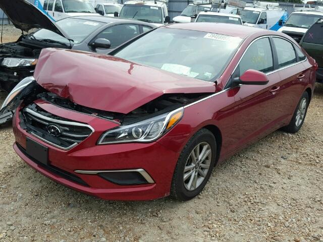 5NPE24AF0GH366595 - 2016 HYUNDAI SONATA SE MAROON photo 2