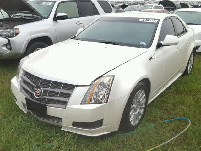 1G6DG5EY8B0125391 - 2011 CADILLAC CTS WHITE photo 2