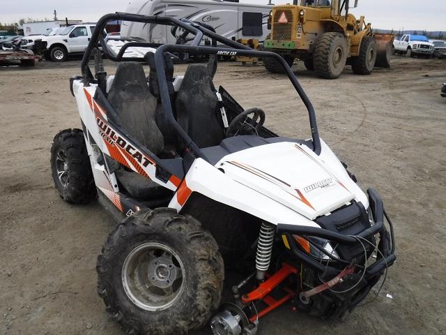 4UF15MPVXFT308453 - 2015 ARCTIC CAT WILDCAT TR 橙色 照片 1