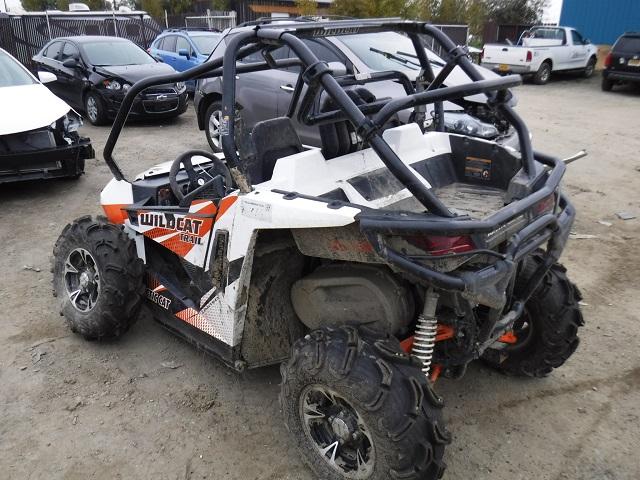 4UF15MPVXFT308453 - 2015 ARCTIC CAT WILDCAT TR 橙色 照片 3
