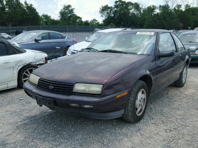 1G1LV15MXSY255879 - 1995 CHEVROLET BERETTA PURPLE photo 2