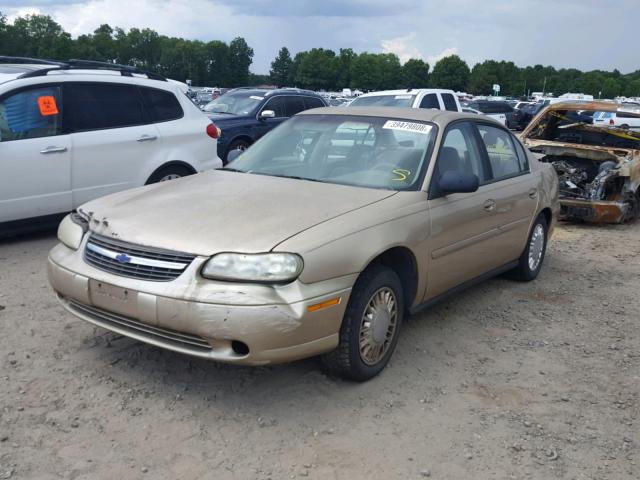 1G1ND52J43M560347 - 2003 CHEVROLET MALIBU GOLD photo 2