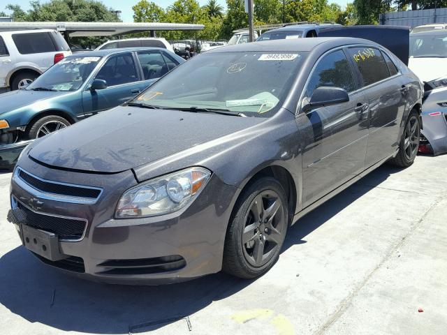 1G1ZB5E03CF249328 - 2012 CHEVROLET MALIBU LS გრაფიტი ფოტო 2