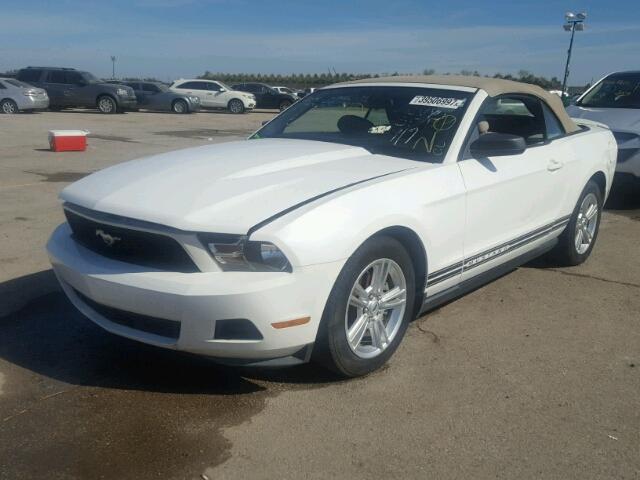 1ZVBP8EN1A5168142 - 2010 FORD MUSTANG WHITE photo 2