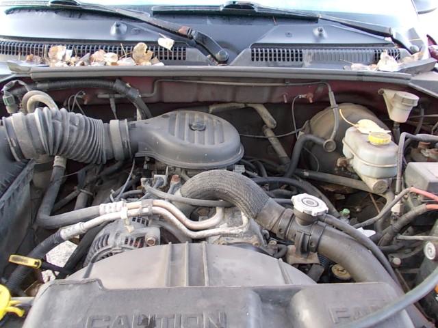 1B7GG22X01S306637 - 2001 DODGE DAKOTA BURGUNDY photo 7