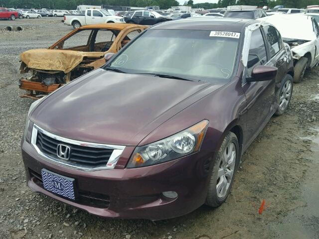 5KBCP3F87AB009449 - 2010 HONDA ACCORD EX- MAROON photo 2